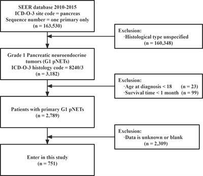 The risk and prognostic factors for G1 pancreatic neuroendocrine tumors: A retrospective analysis of the SEER database